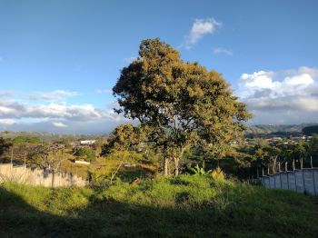 Casa una Planta en venta en Alajuela Centro, Tuetal Sur, Alajuela, Costa Rica — foto 1