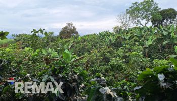 Terreno General en venta en Santa Elena, Pérez Zeledón, San José, Costa Rica — foto 5