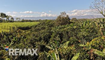 Terreno General en venta en Santa Elena, Pérez Zeledón, San José, Costa Rica — foto 7