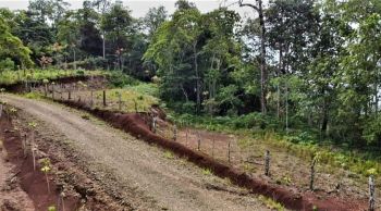 Terreno Para Vivienda en venta en Berlín de Páramo, Pérez Zeledón, San José, Costa Rica — foto 3