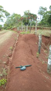 Terreno Para Vivienda en venta en Berlín de Páramo, Pérez Zeledón, San José, Costa Rica — foto 4
