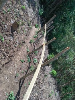 Terreno para Desarrollo en venta en Atenas, Alajuela, Costa Rica — foto 3
