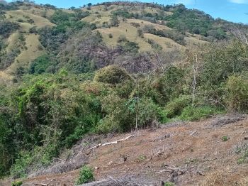 Terreno para Desarrollo en venta en Atenas, Alajuela, Costa Rica — foto 7