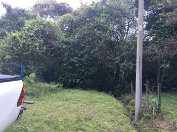 De Oportunidad Bella Finca 5 ha en la Guácima de Alajuela