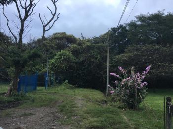 Fincas Uso Mixto en venta en La Guacima, Alajuela, Costa Rica — foto 2