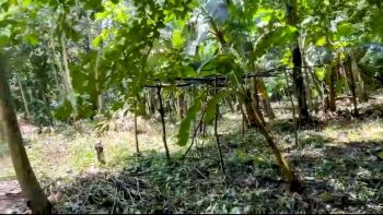 Fincas Uso Mixto en venta en La Guacima, Alajuela, Costa Rica — foto 3