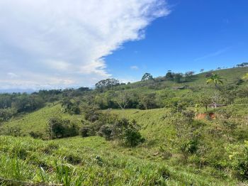 Fincas Uso Mixto en venta en Guaria de San Pedro, Pérez Zeledón, San José, Costa Rica — foto 2