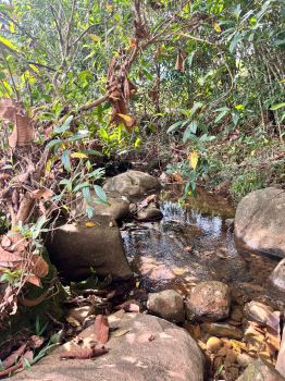 Fincas Uso Mixto en venta en Guaria de San Pedro, Pérez Zeledón, San José, Costa Rica — foto 3