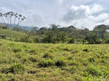 Fincas Uso Mixto en venta en Guaria de San Pedro, Pérez Zeledón, San José, Costa Rica — foto 4