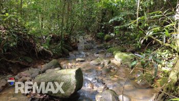 Terreno General en venta en QUIZARRA, Pérez Zeledón, San José, Costa Rica — foto 5
