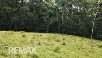 Terreno General en venta en QUIZARRA, Pérez Zeledón, San José, Costa Rica — foto 7
