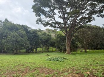 Fincas Uso Mixto en venta en Jesús, Barroeta, Atenas, Alajuela, Costa Rica — foto 1