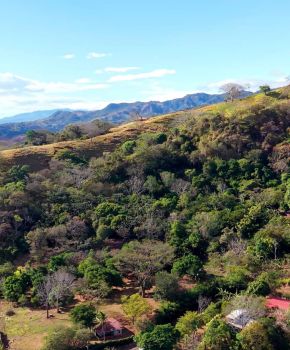 Fincas Uso Mixto en venta en Jesús, Barroeta, Atenas, Alajuela, Costa Rica — foto 5