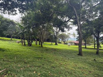 Fincas Uso Mixto en venta en Jesús, Barroeta, Atenas, Alajuela, Costa Rica — foto 7