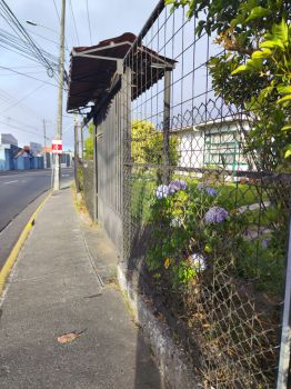 Casa una Planta en venta en Patalillo, Vázquez de Coronado, San José, Costa Rica — foto 5