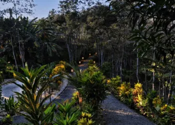 Apartment Complex for sale in Panica De Tambor Paquera, Puntarenas, Costa Rica — photo 5