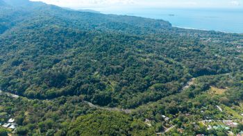 Fincas Uso Mixto en venta en Uvita, Osa, Puntarenas, Costa Rica — foto 5