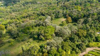 Fincas Uso Mixto en venta en Uvita, Osa, Puntarenas, Costa Rica — foto 7