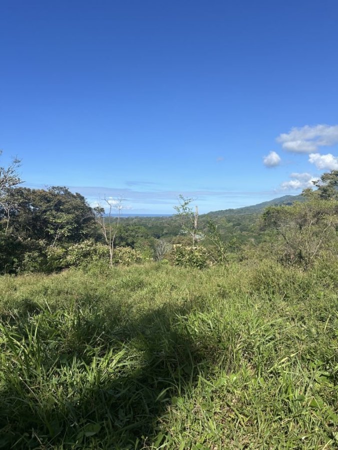 Fincas Uso Mixto en venta en Uvita, Osa, Puntarenas, Costa Rica — foto 8