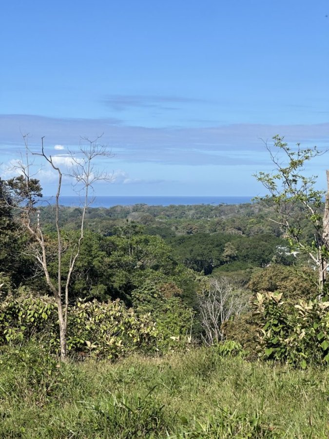 Fincas Uso Mixto en venta en Uvita, Osa, Puntarenas, Costa Rica — foto 9