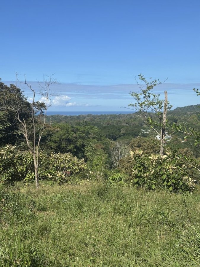 Fincas Uso Mixto en venta en Uvita, Osa, Puntarenas, Costa Rica — foto 10