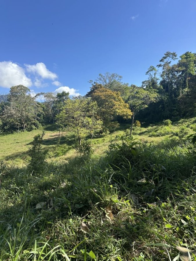 Fincas Uso Mixto en venta en Uvita, Osa, Puntarenas, Costa Rica — foto 11