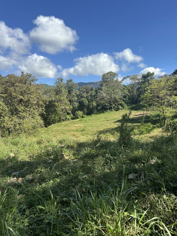 Fincas Uso Mixto en venta en Uvita, Osa, Puntarenas, Costa Rica — foto 12