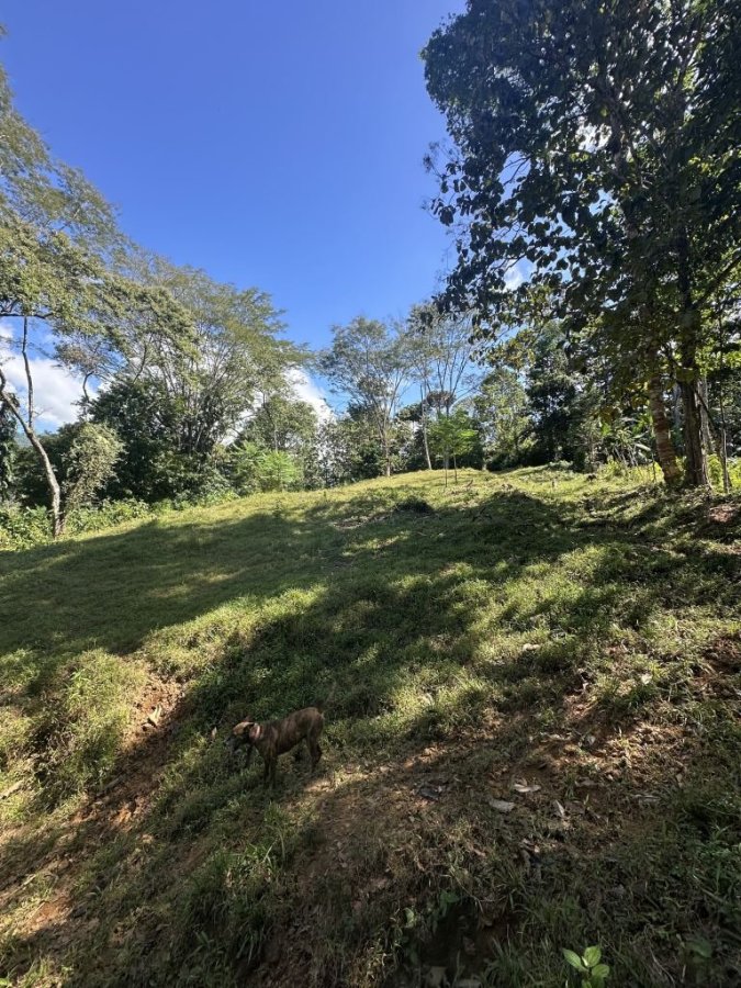 Fincas Uso Mixto en venta en Uvita, Osa, Puntarenas, Costa Rica — foto 13