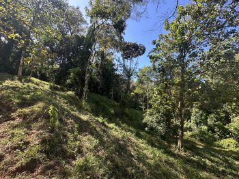 Fincas Uso Mixto en venta en Uvita, Osa, Puntarenas, Costa Rica — foto 14