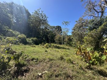 Fincas Uso Mixto en venta en Uvita, Osa, Puntarenas, Costa Rica — foto 15