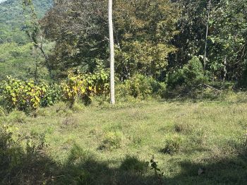 Fincas Uso Mixto en venta en Uvita, Osa, Puntarenas, Costa Rica — foto 16