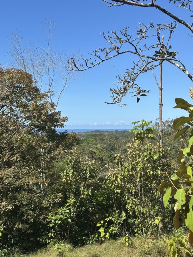Fincas Uso Mixto en venta en Uvita, Osa, Puntarenas, Costa Rica — foto 17