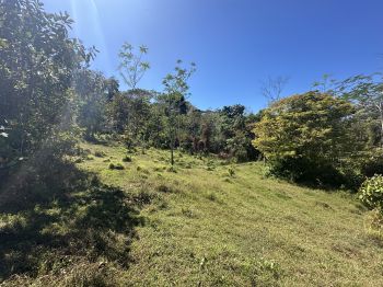 Fincas Uso Mixto en venta en Uvita, Osa, Puntarenas, Costa Rica — foto 18