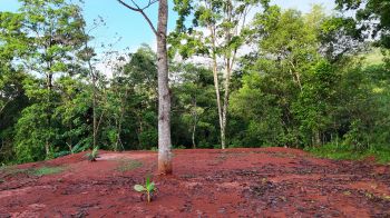 Terreno General en venta en Tarcolitos, Garabito, Puntarenas, Costa Rica — foto 5