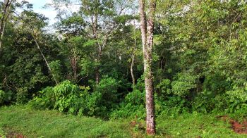 Terreno General en venta en Tarcolitos, Garabito, Puntarenas, Costa Rica — foto 6
