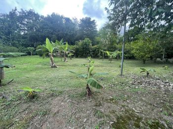 Mixed Use Land for sale in La Teresa de Guapiles, Pococí, Limón, Costa Rica — photo 2