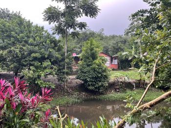 Casa