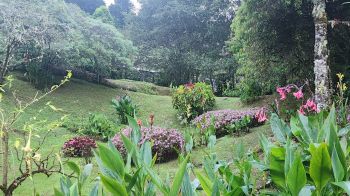 Fincas Uso Mixto en venta en San Gerardo de Dota, Dota, San José, Costa Rica — foto 2