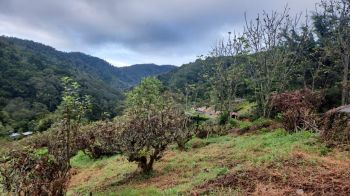 Fincas Uso Mixto en venta en San Gerardo de Dota, Dota, San José, Costa Rica — foto 4