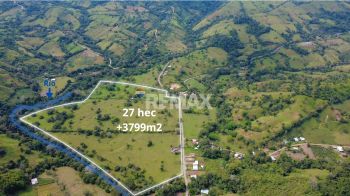 Finca Ganadera 27 Hectáreas en Pérez Zeledón