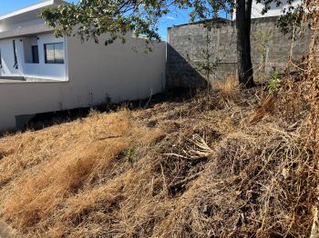 Terreno Para Vivienda en venta en Atenas, Alajuela, Costa Rica — foto 4