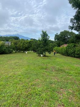 Mixed Use Land for sale in Calle La Esperanza Orotina centro, Orotina, Alajuela, Costa Rica — photo 2