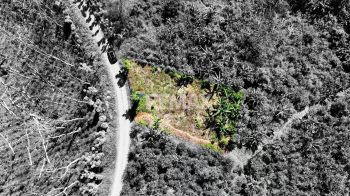 Terreno General en venta en BUENOS AIRES, PLATANARES, Pérez Zeledón, San José, Costa Rica — foto 1