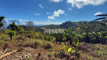 Terreno General en venta en BUENOS AIRES, PLATANARES, Pérez Zeledón, San José, Costa Rica — foto 4