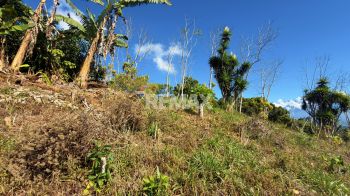Terreno General en venta en BUENOS AIRES, PLATANARES, Pérez Zeledón, San José, Costa Rica — foto 6