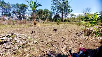 Fincas Uso Mixto en venta o alquiler en Las cruces, San Isidro, Heredia, Costa Rica — foto 5