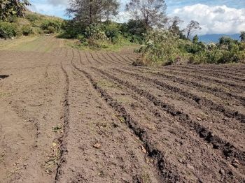 Lote Uso Mixto Cartago Centro