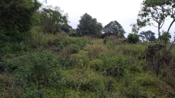 Terreno Comercial en venta en Cartago, Costa Rica — foto 2