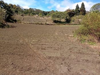 Terreno Comercial en venta en Cartago, Costa Rica — foto 3