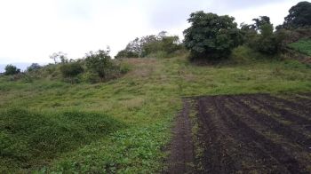 Terreno Comercial en venta en Cartago, Costa Rica — foto 4